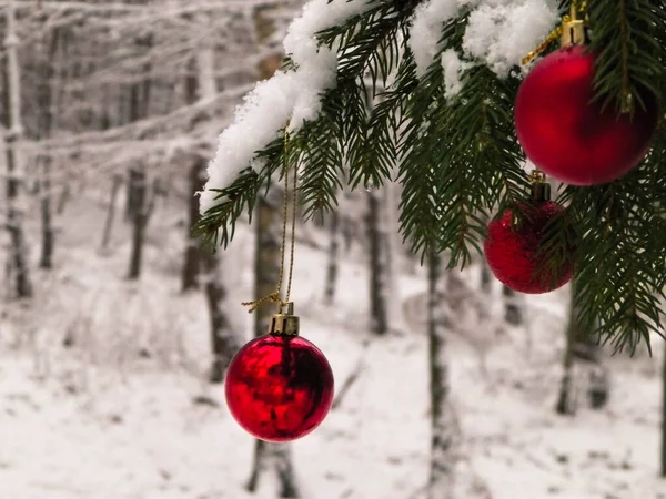 木の小枝にクリスマスボール クリスマスだ スペースのコピー — ストック写真