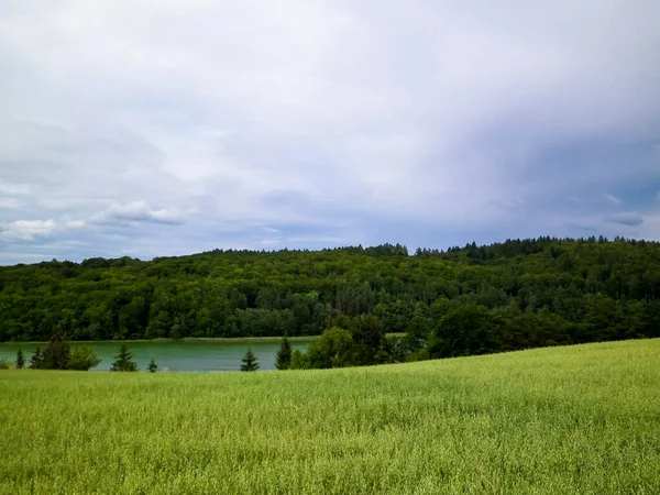 Campo Lago Ostrzyckie Fundo Natureza Wiezyca Região Kashubian Polónia Natureza — Fotografia de Stock