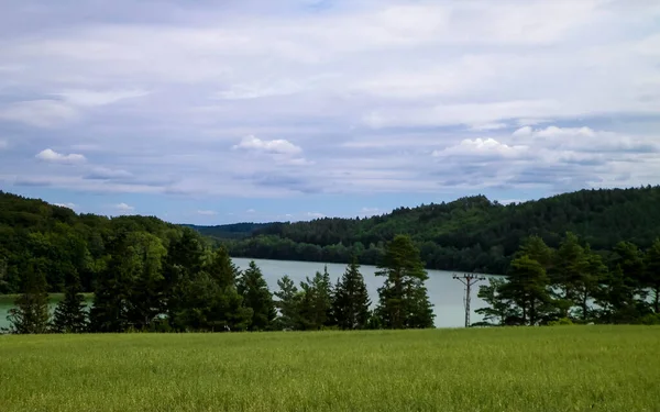 フィールドと背景にOstrzyckie湖 ポーランドのカシュビア地方 ヴィージャの自然 農業の概念 — ストック写真
