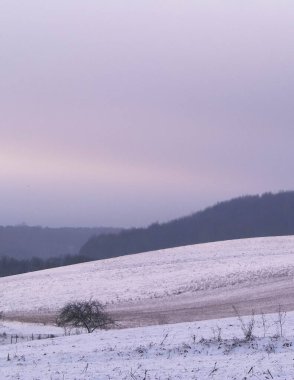 Kashubian tepeleri üzerinde kış, Wiezyca, Polonya. Kuzey Polonya 'daki Kashubian bölgesinin akşam vakti ve güzel doğası.