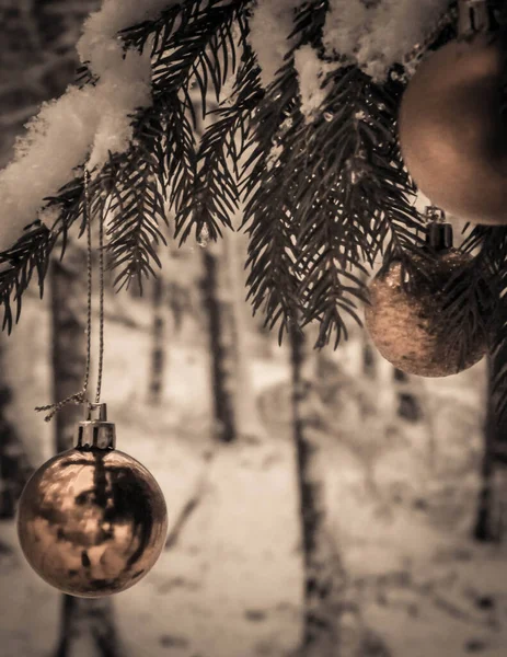 Χριστουγεννιάτικη Μπάλα Κλαδί Δέντρου Χριστούγεννα Αντιγραφή Χώρου — Φωτογραφία Αρχείου