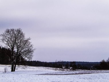 Kashubian çayırlarında kış, Polonya doğası. Kış mevsimi konsepti, bulutlu gökyüzünde kopya alanı.