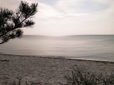 Hel Peninsula 'dan Baltık deniz kıyıları - Hel şehrine yakın plaj. Baltık Denizi ve Gdansk Körfezi 'nin güzel doğası. Seyahat ve doğa kavramı.