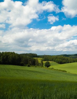 Wiezyca Bölgesi, Pomerania, Kashubia, Polonya 'nın güzel tepeleri ve çayır manzarası.