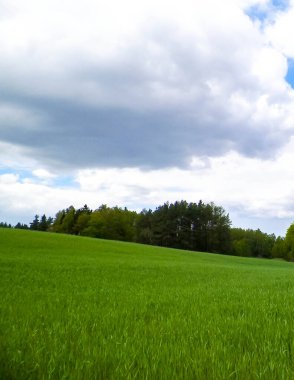 Kashubia bölgesindeki yeşil alanlar, Kuzey Polonya. Bulutlu bir gün, seyahat ve doğa konsepti.