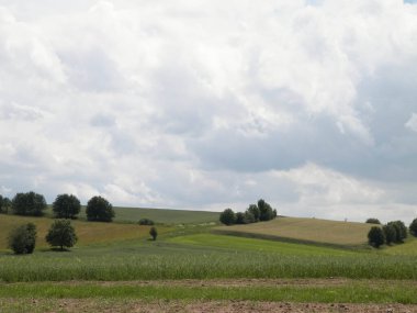 Wiezyca Bölgesi, Pomerania, Kashubia, Polonya 'nın güzel tepeleri ve çayır manzarası.