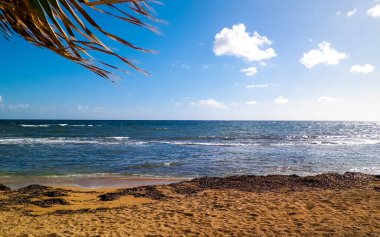 Paphos City yakınlarındaki tropik plaj, Kıbrıs adası. Boşluğu mavi gökyüzünde kopyala - bir kartpostal için iyi bir arkaplan.