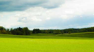 Kashubia bölgesindeki yeşil alanlar, Kuzey Polonya. Bulutlu bir gün, seyahat ve doğa konsepti.
