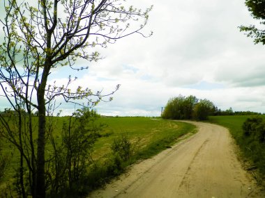 Kashubian tarlalarından geçen kırsal yol. Seyahat ve doğa kavramı. Kuzey Polonya.