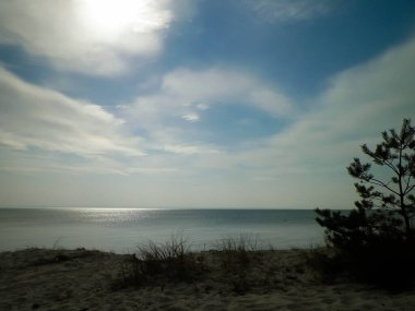 Hel Peninsula 'dan Baltık deniz kıyıları - Hel şehrine yakın plaj. Baltık Denizi ve Gdansk Körfezi 'nin güzel doğası. Seyahat ve doğa kavramı.