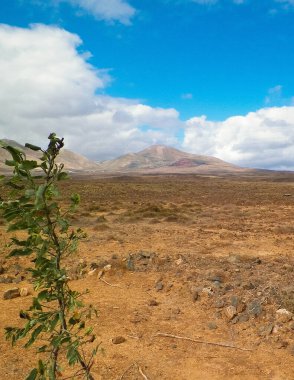 Çöl ve dağlar Lanzarote adasının tipik bir manzarasıdır. Kanarya Adaları takımadaları.