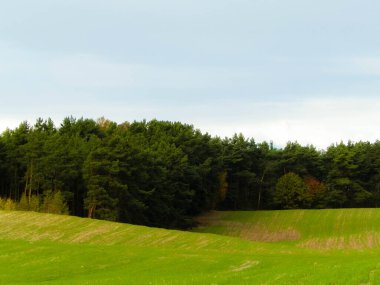 Yeşil tarla ve tepeler. Kuzey Polonya doğası. Seyahat ve doğa kavramı.