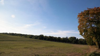 Yaz sonu - sonbahar ağaçları ve tarlalar. Polonya doğası. Mavi gökyüzündeki boşluğu kopyala. Mechelinki, Polonya.