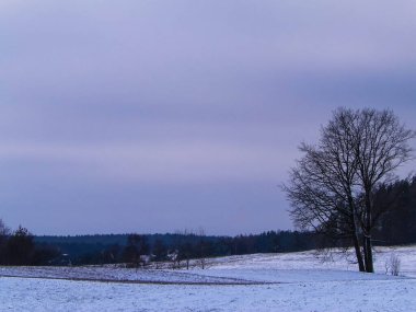 Kashubian çayırlarında kış, Polonya doğası. Kış mevsimi konsepti, bulutlu gökyüzünde kopya alanı.
