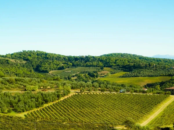 날에는 토스카나 포도밭의 풍경이 펼쳐져 있습니다 자연과 농업의 개념입니다 이탈리아에서의 스톡 사진
