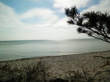 Hel Peninsula 'dan Baltık deniz kıyıları - Hel şehrine yakın plaj. Baltık Denizi ve Gdansk Körfezi 'nin güzel doğası. Seyahat ve doğa kavramı.