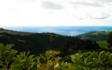 Azores adaları Sao Miguel 'in vahşi doğası. Arka planda Atlantik Okyanusu. Azores Portekiz 'in otonom bölgesi olan küçük bir takımadalardır..
