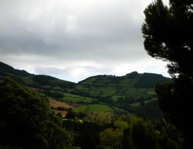 Azores adaları Sao Miguel 'in vahşi doğası. Dağlar, otlaklar, çayırlar ve tropikal ormanlar. Azores Portekiz 'in otonom bölgesi olan küçük bir takımadalardır..