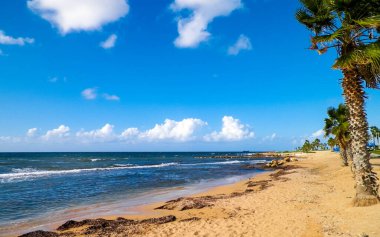 Paphos City yakınlarındaki tropik plaj, Kıbrıs adası. Boşluğu mavi gökyüzünde kopyala - bir kartpostal için iyi bir arkaplan.