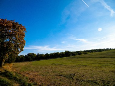 Yaz sonu - sonbahar ağaçları ve tarlalar. Polonya doğası. Mavi gökyüzündeki boşluğu kopyala. Mechelinki, Polonya.
