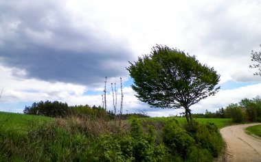 Rüzgarlı bir günde Kashubia 'ya yolculuk. Polonya doğası. Seyahat kavramı.