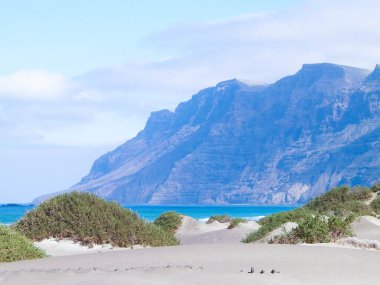 Plaj ve Dağlar - Caleta de Famara 'nın güzel kıyıları, Lanzarote Kanarya Adaları. Caleta de Famara 'daki plaj sörfçüler arasında çok popüler..