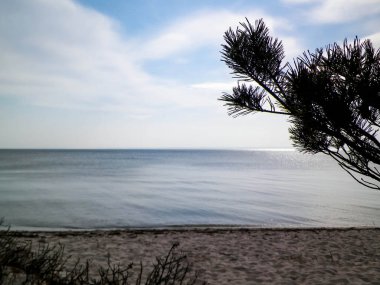 Hel Peninsula 'dan Baltık deniz kıyıları - Hel şehrine yakın plaj. Baltık Denizi ve Gdansk Körfezi 'nin güzel doğası. Seyahat ve doğa kavramı.