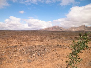 Çöl ve dağlar Lanzarote adasının tipik bir manzarasıdır. Kanarya Adaları takımadaları.