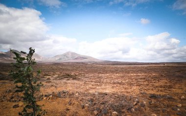 Çöl ve dağlar Lanzarote adasının tipik bir manzarasıdır. Kanarya Adaları takımadaları.