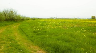 Yeşil alan ve ülke yolu, Romanya 'da off-road, Dobrogea bölgesi.