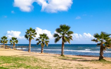 Kumsal ve palmiye ağaçları. Akdeniz kıyısı. Kıbrıs adası.
