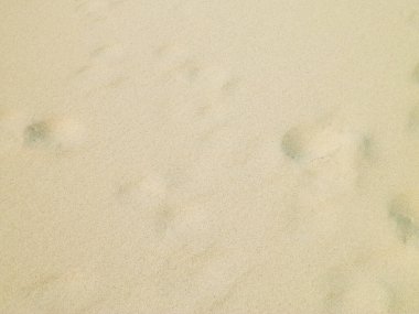 Kumda ayakkabı izi var. Boşluğu kopyala, doğa arkaplanı.