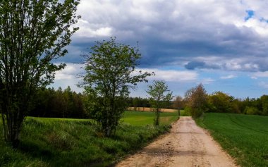 Tarlaların ve çayırların üzerinden köy yolu. Kashubia 'da ilkbahar. Polonya.