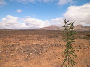 Çöl ve dağlar Lanzarote adasının tipik bir manzarasıdır. Kanarya Adaları takımadaları.
