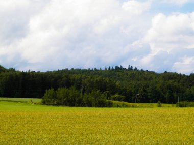 Wiezyca Bölgesi, Pomerania, Kashubia, Polonya 'nın güzel tepeleri ve çayır manzarası.