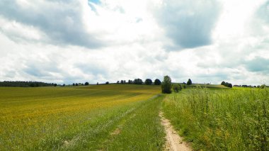 Wiezyca Bölgesi, Pomerania, Kashubia, Polonya 'nın güzel tepeleri ve çayır manzarası.