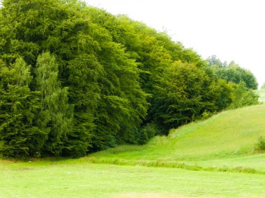 Green hills and forest - landscape of Kashubian Region, Poland. Travel and nature concept.