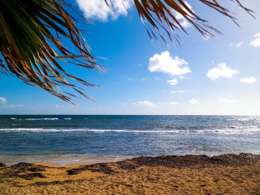 Paphos City yakınlarındaki tropik plaj, Kıbrıs adası. Boşluğu mavi gökyüzünde kopyala - bir kartpostal için iyi bir arkaplan.
