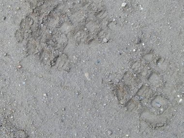 Footprint on ground as a background. Copy space.