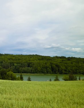 Field ve Ostrzyckie Gölü arka planda. Wiezyca Doğa, Kashubian Bölgesi, Polonya. Doğa, seyahat ve tarım kavramı.