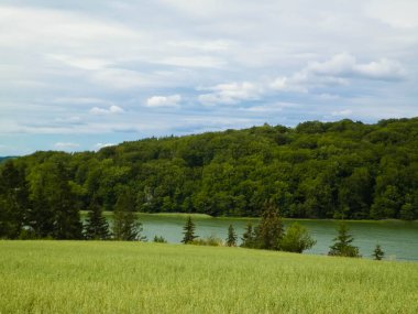 Field ve Ostrzyckie Gölü arka planda. Wiezyca Doğa, Kashubian Bölgesi, Polonya. Doğa, seyahat ve tarım kavramı.