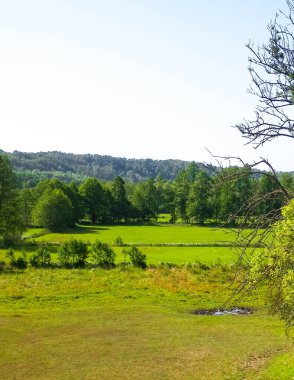 Forest and hills in Wiezyca, Kashubian Region, Poland. Green forest and hills of northern Poland.