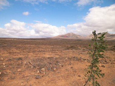 Çöl ve dağlar Lanzarote adasının tipik bir manzarasıdır. Kanarya Adaları takımadaları.
