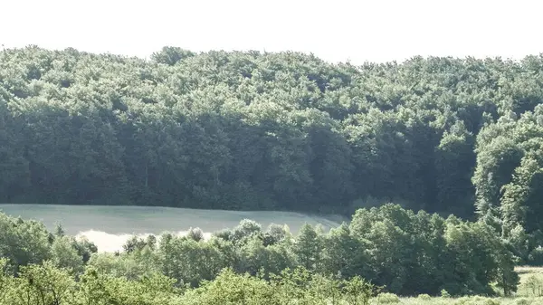 Wiezyca, Kashubian Bölgesi, Polonya 'da çayır ve tepelerin manzarası. Turizm ve keşif kavramı.