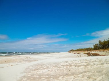 Polonya, Stilo 'daki kumsal. Baltık Denizi kıyısı. Boşluğu mavi gökyüzünde kopyala.