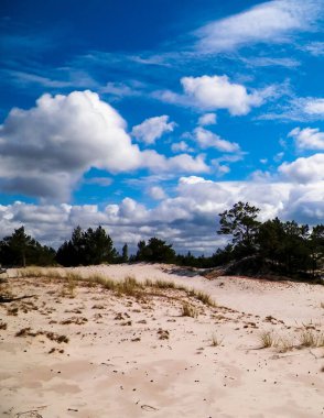 Stilo 'daki kum tepeleri, Leba. Kuzey Polonya 'nın kıyı bölgesi.