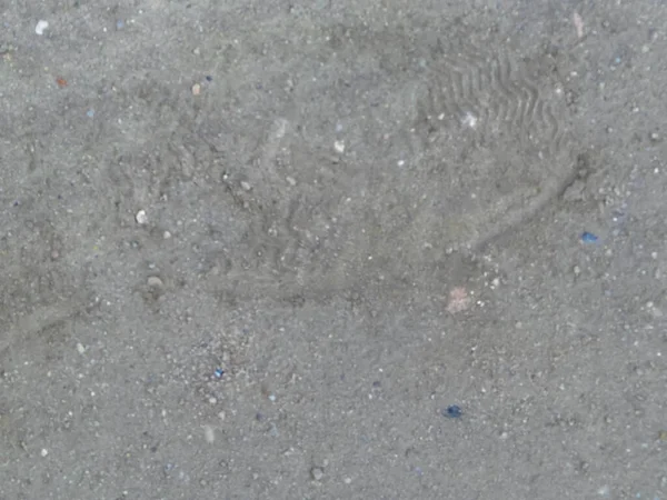 Footprint on ground as a background. Copy space.