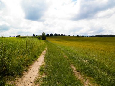 Wiezyca Bölgesi, Pomerania, Kashubia, Polonya 'nın güzel tepeleri ve çayır manzarası.