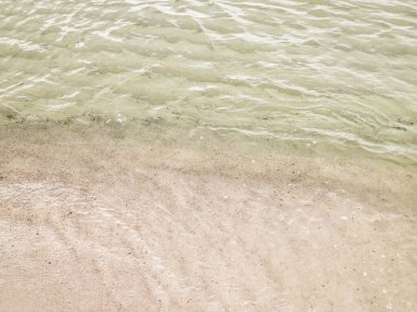 Baltık Denizi 'nin suyu doğanın arka planıdır. Boşluğu kopyala, doğa kavramı.