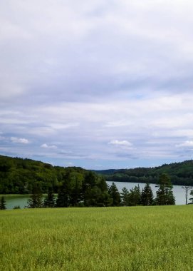 Field ve Ostrzyckie Gölü arka planda. Wiezyca Doğa, Kashubian Bölgesi, Polonya. Doğa, seyahat ve tarım kavramı.